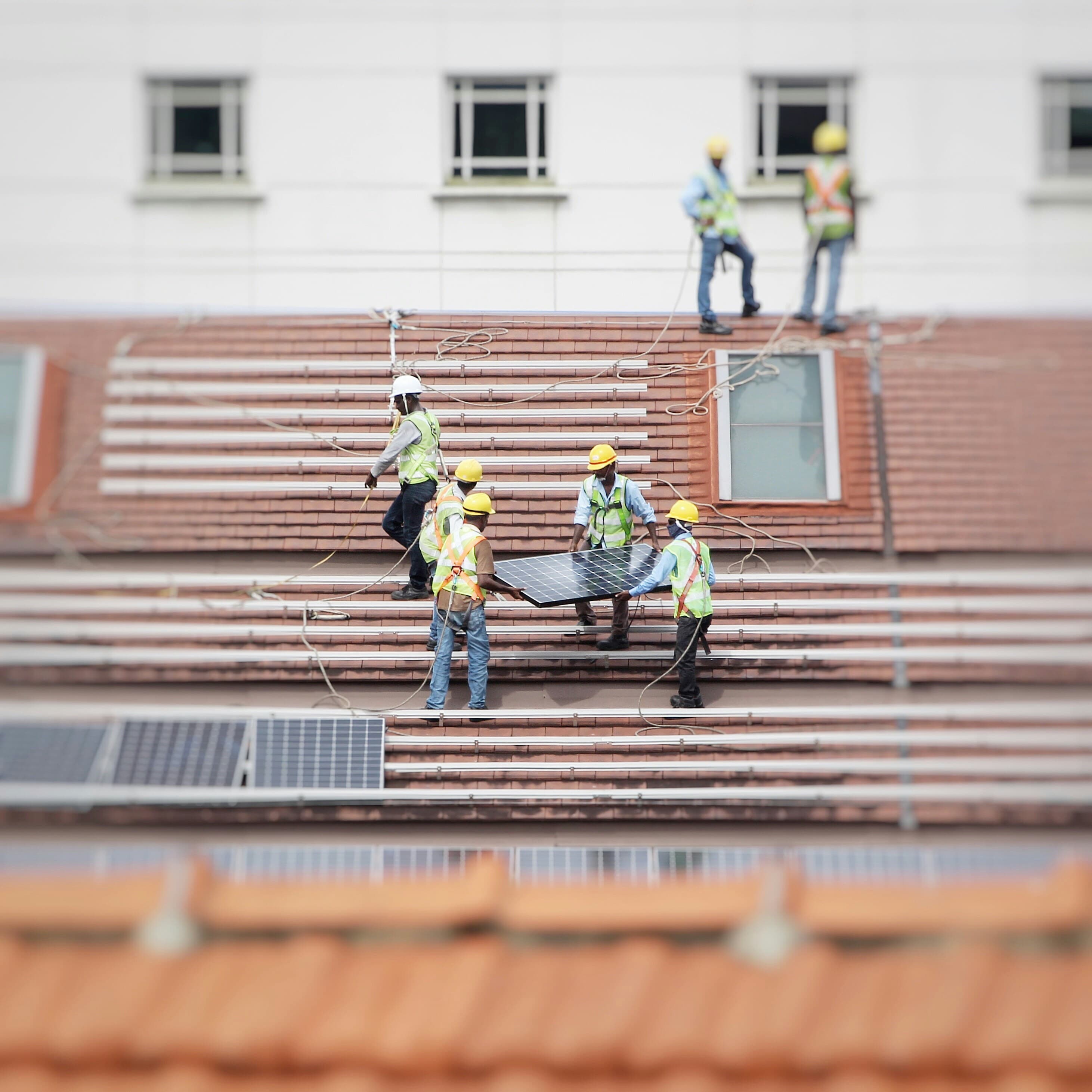 Ground-mounted solar array at an agricultural processing site